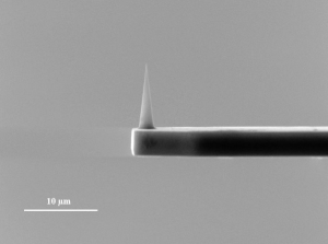 TZ-HAR10型AFM探针正式进入市场