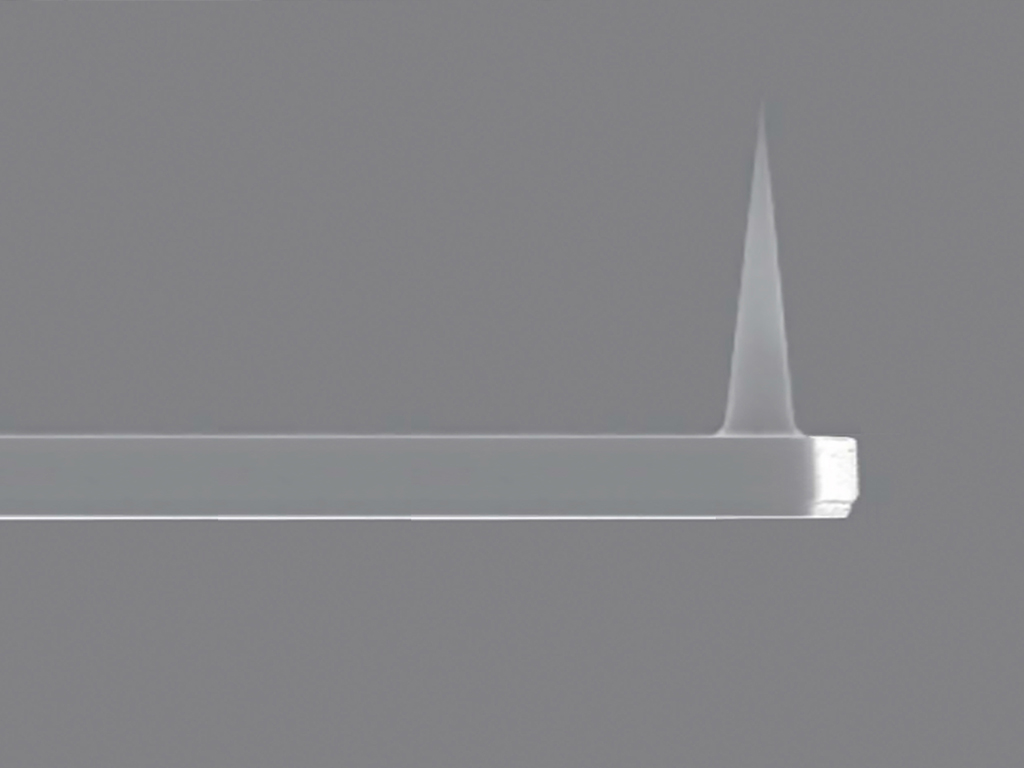 TZ-HAR10型AFM探针正式进入市场