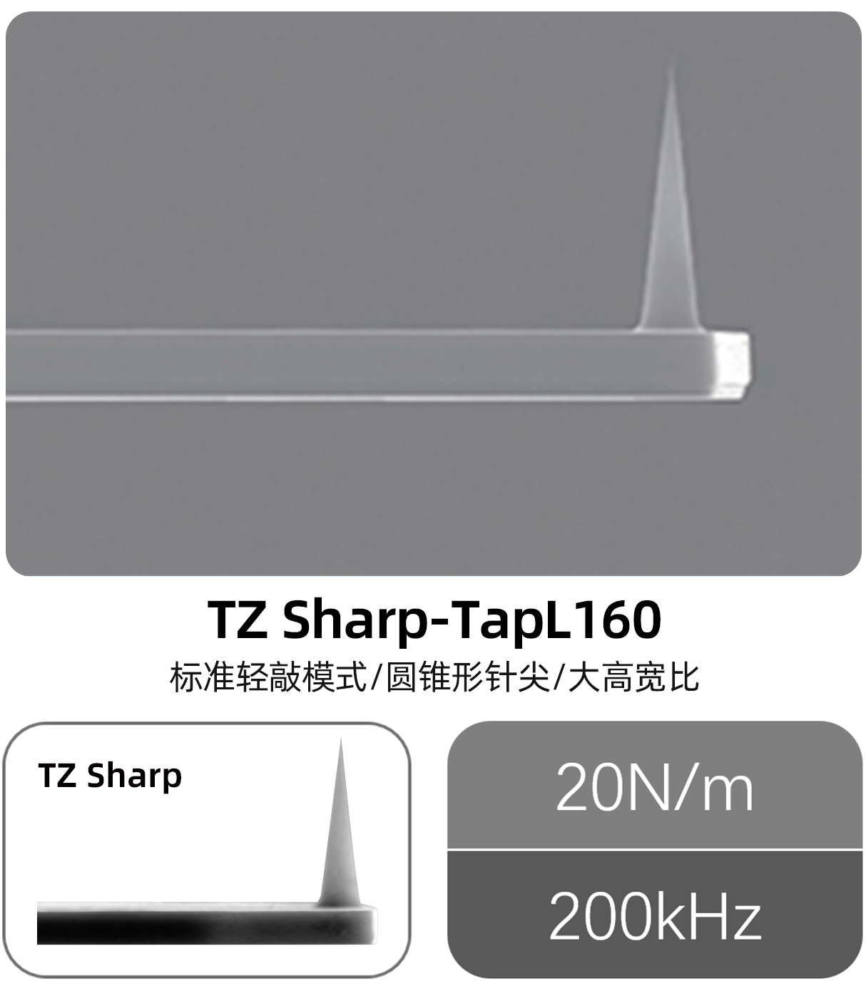 AFM探针（images 5）