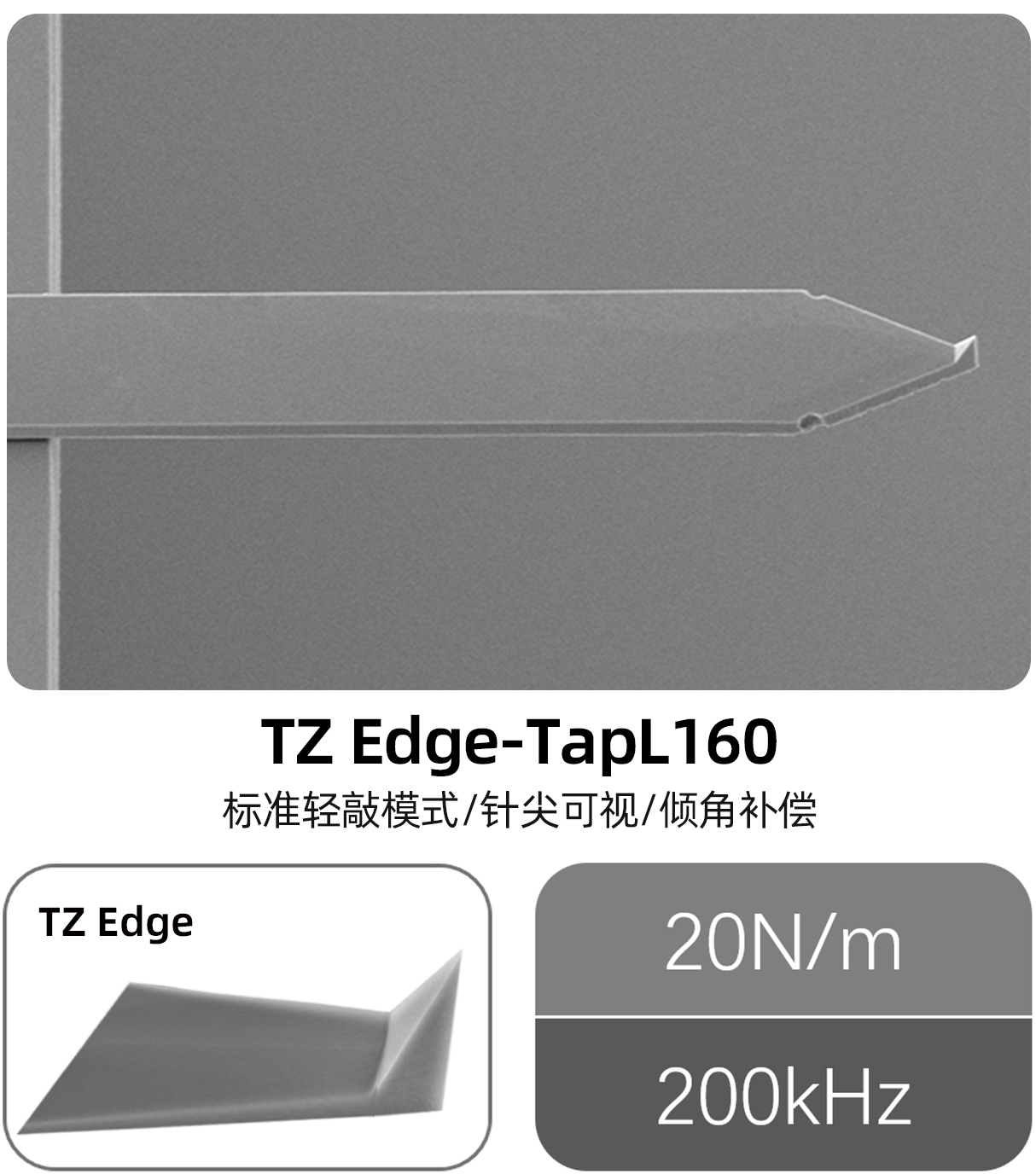AFM探针（images 6）