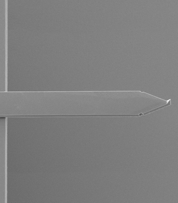 AFM探针（images 3）