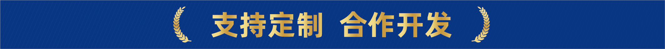 AFM探针（images 9）