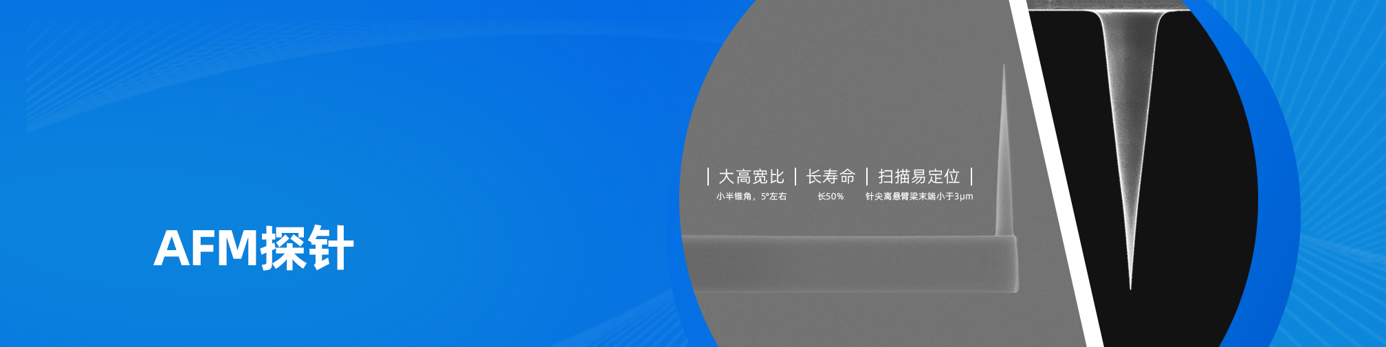 AFM探针（images 1）